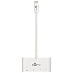 Goobay Adaptateur USB-C Multiport Gen2