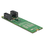 Adaptador DeLock M.2 Key B+M a 2 x SATA 6 Gbps